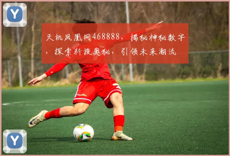 天机凤凰网468888，揭秘神秘数字，探索科技奥秘，引领未来潮流