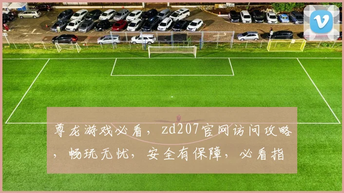尊龙游戏必看，zd207官网访问攻略，畅玩无忧，安全有保障，必看指南