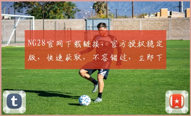 NG28官网下载链接，官方授权稳定版，快速获取，不容错过，立即下载