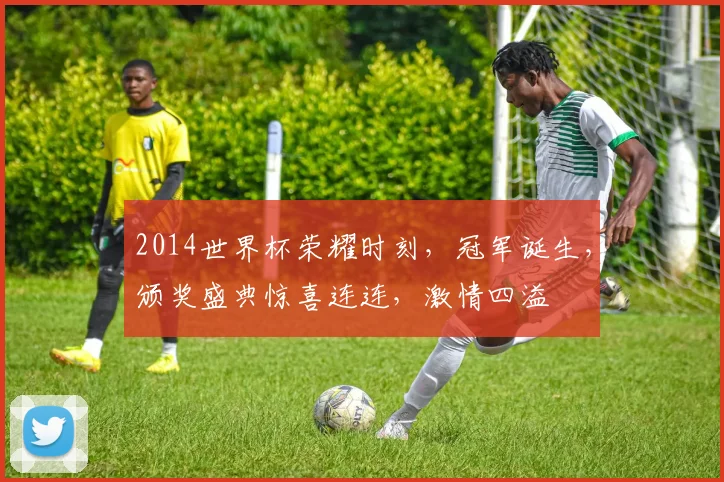 2014世界杯荣耀时刻，冠军诞生，颁奖盛典惊喜连连，激情四溢