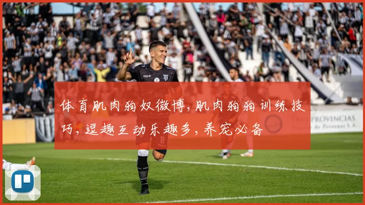 体育肌肉狗奴微博,肌肉狗狗训练技巧,逗趣互动乐趣多,养宠必备